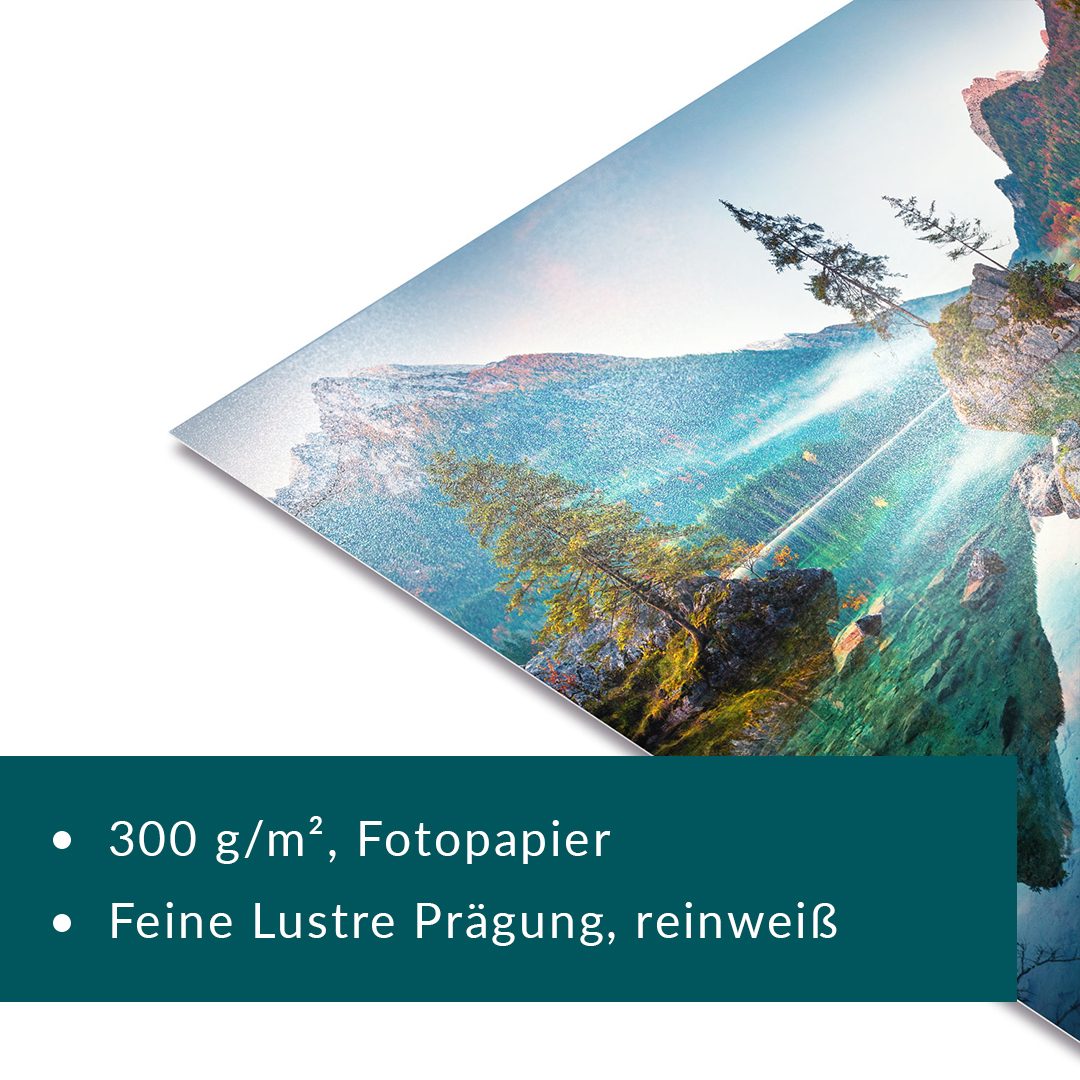 Kollektion